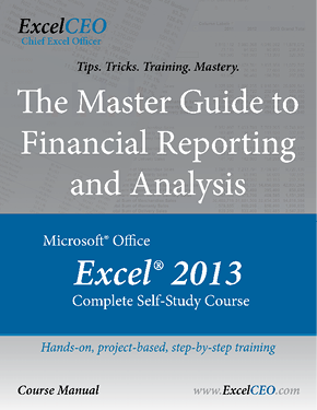 ExcelCEO Excel 2013