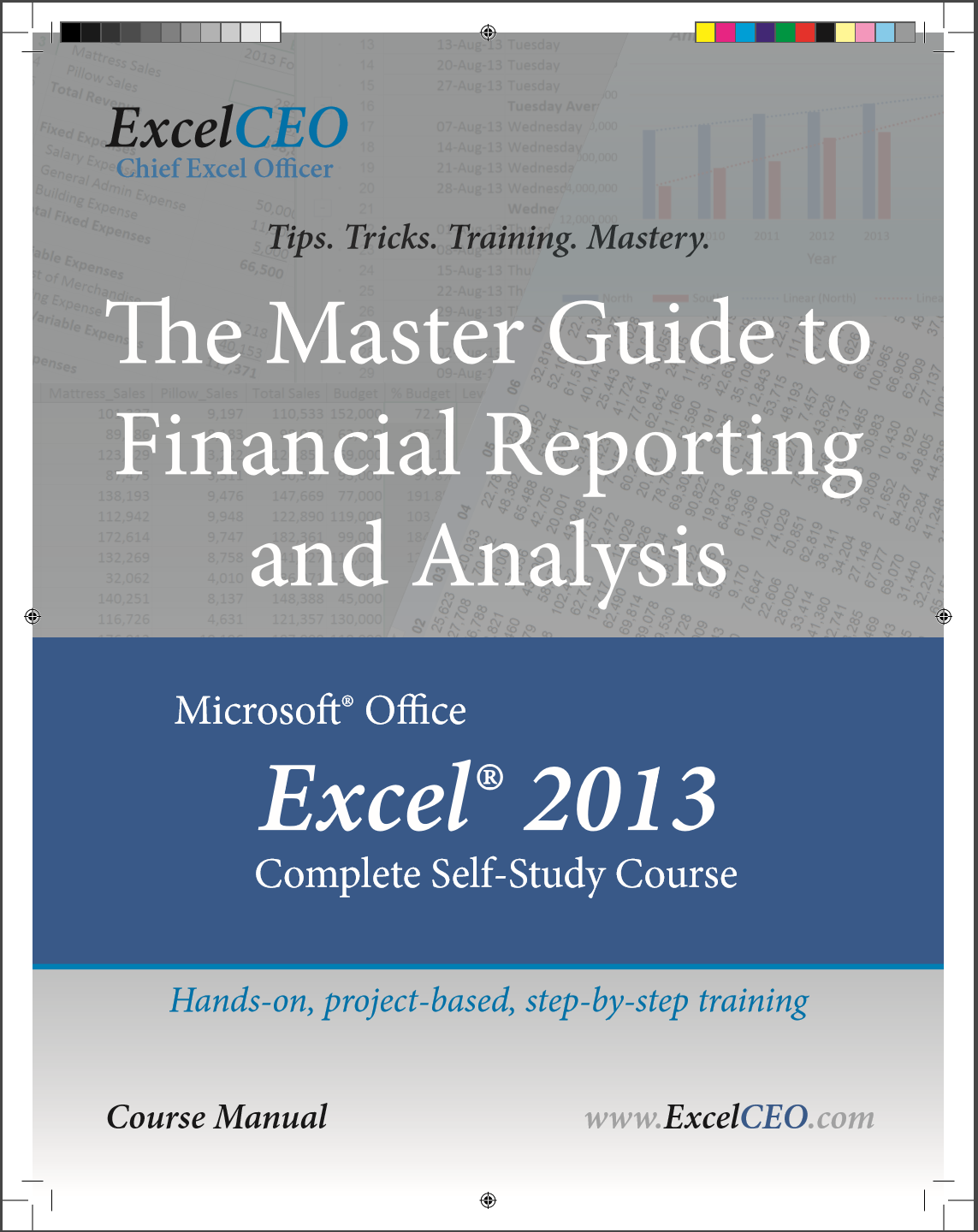 ExcelCEO Excel 2013 course training details