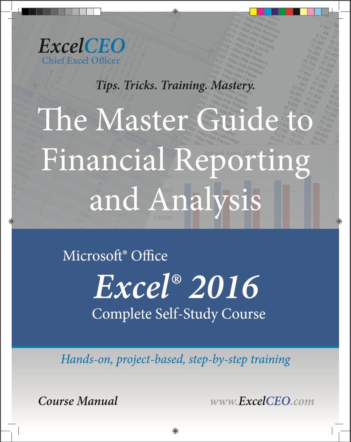 ExcelCEO Excel 2013 course training details